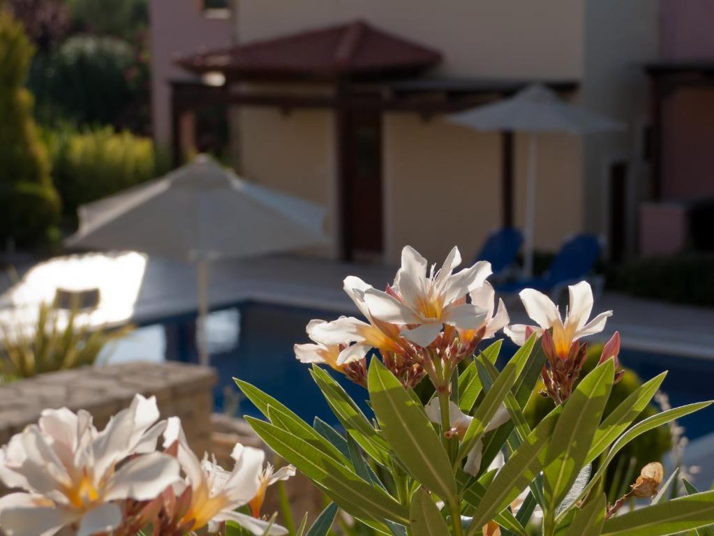 Eligia Villas Mixorrouma ห้อง รูปภาพ